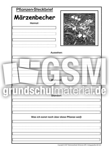 Pflanzensteckbrief-Märzenbecher-SW.pdf